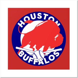 Historic Houston Buffaloes Baseball 1888 Posters and Art